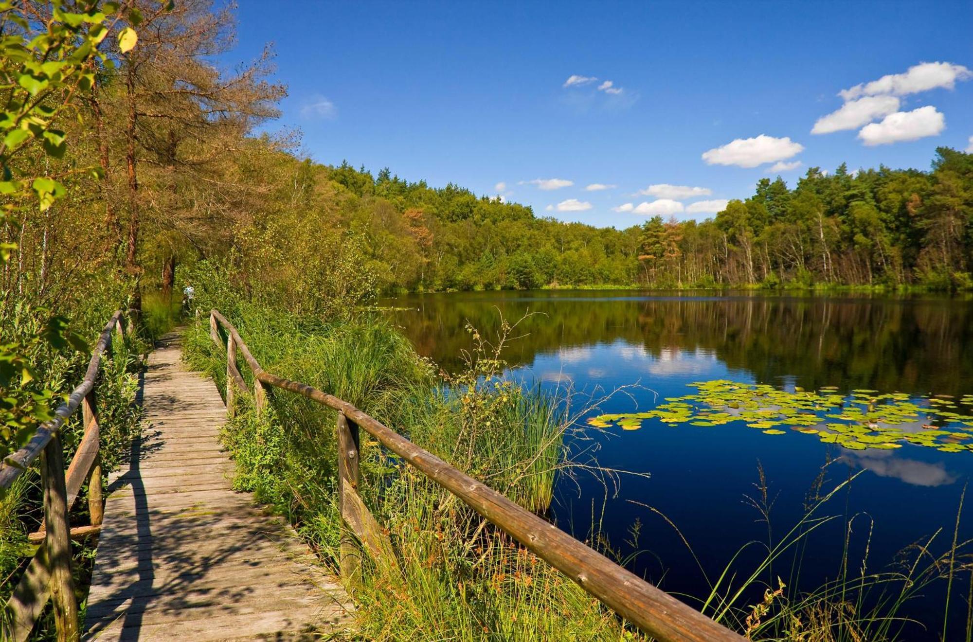 Grosse Sommerliebe - Ferienhaus Nah Am Volksbad Und Radwanderweg Waren  Zewnętrze zdjęcie